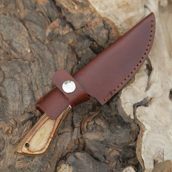 Custom handmade High Carbon Steel Hunting Skinner knife, camping knife, Survival knife, Full tang knife, With Dollar Sheet - Image 2
